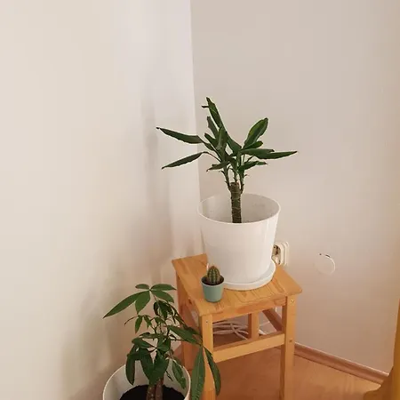 Keka Bol